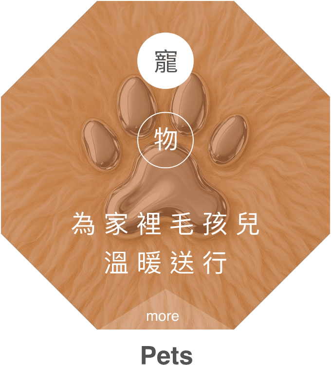 寵物
